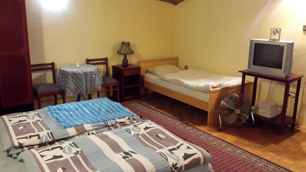 Guest House Gaja Novi Sad Rom bilde